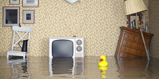 Aumento del gravamen del impuesto sobre las primas de seguros
